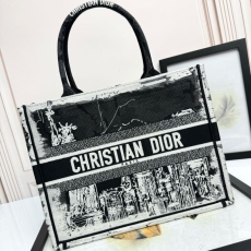 Christian Dior Shopping Bags